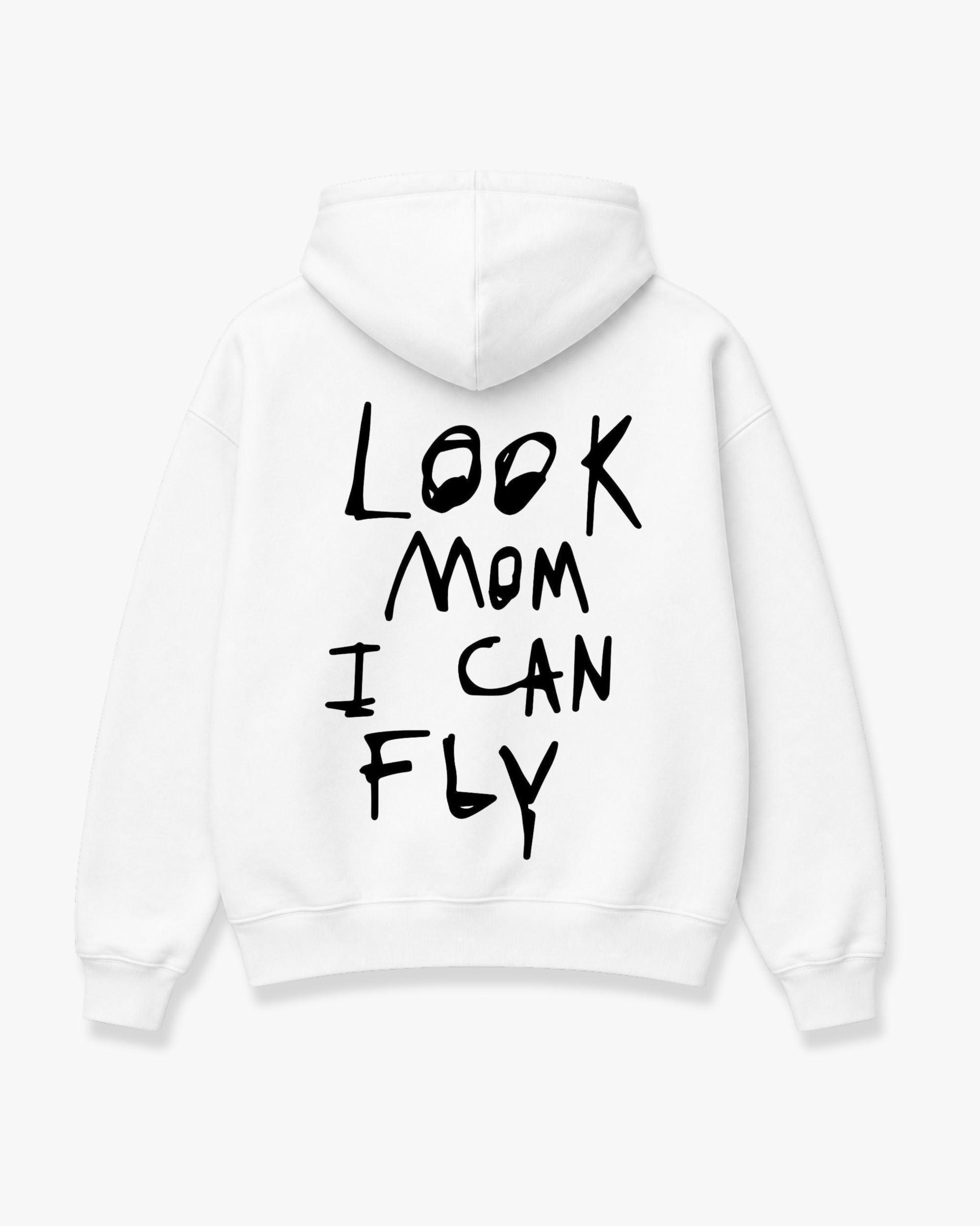 Fly