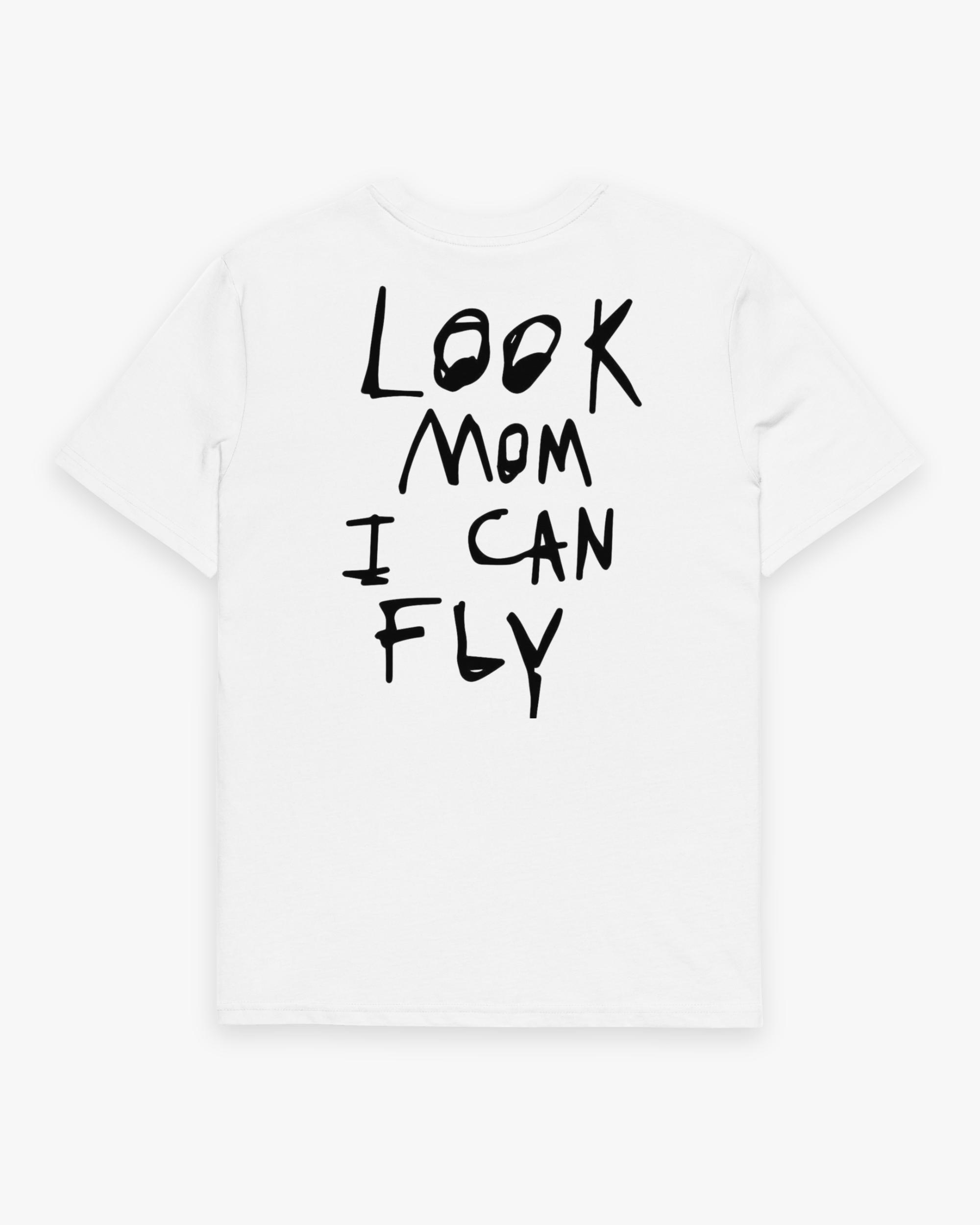 Fly