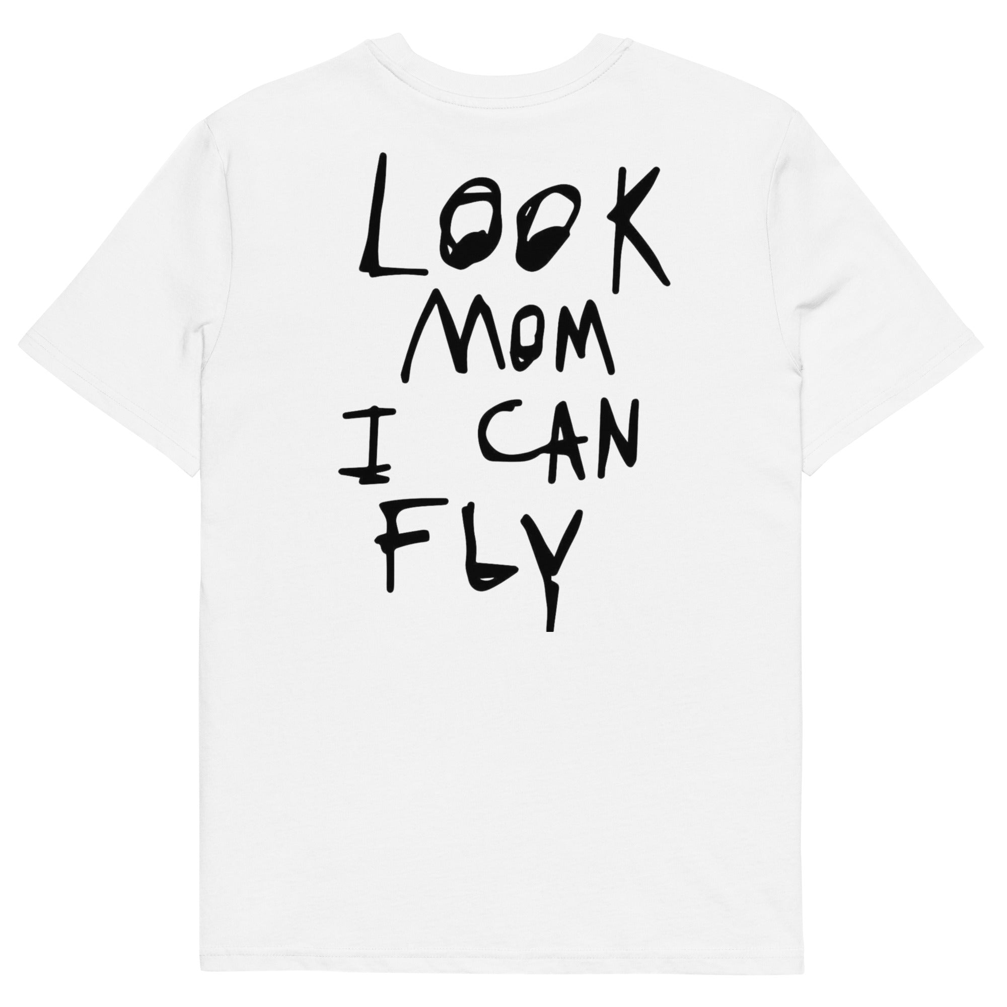 Fly